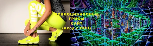 скорость Пересвет