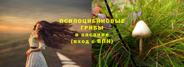 эйфоретик Переславль-Залесский