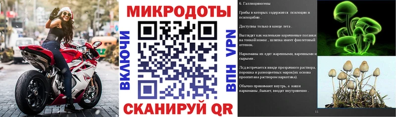 как найти закладки Усть-Лабинск Псилоцибиновые грибы GOLDEN TEACHER