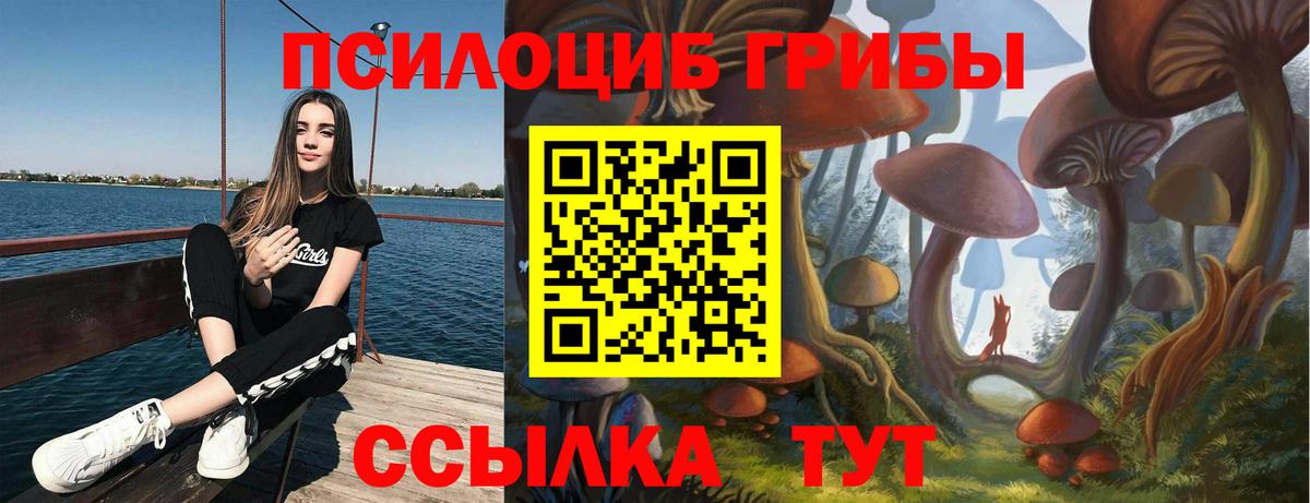 Галлюциногенные грибы Psilocybe Усть-Лабинск
