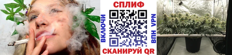 Бошки марихуана AK-47 закладка Усть-Лабинск